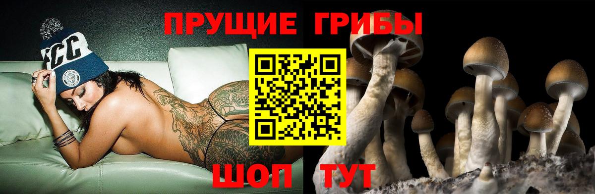 Псилоцибиновые грибы прущие грибы Баксан